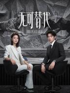 无可替代的电视剧